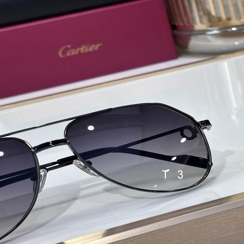 Cartier CT0323S C07