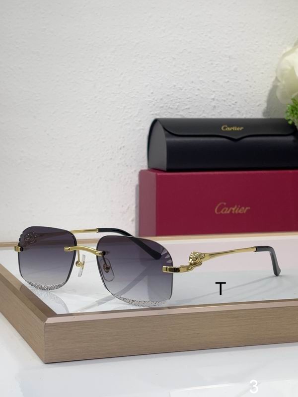Cartier CT0432S 55 18 145 b01