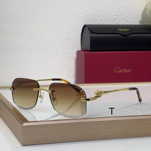 Cartier CT0432S 55 18 145 b02