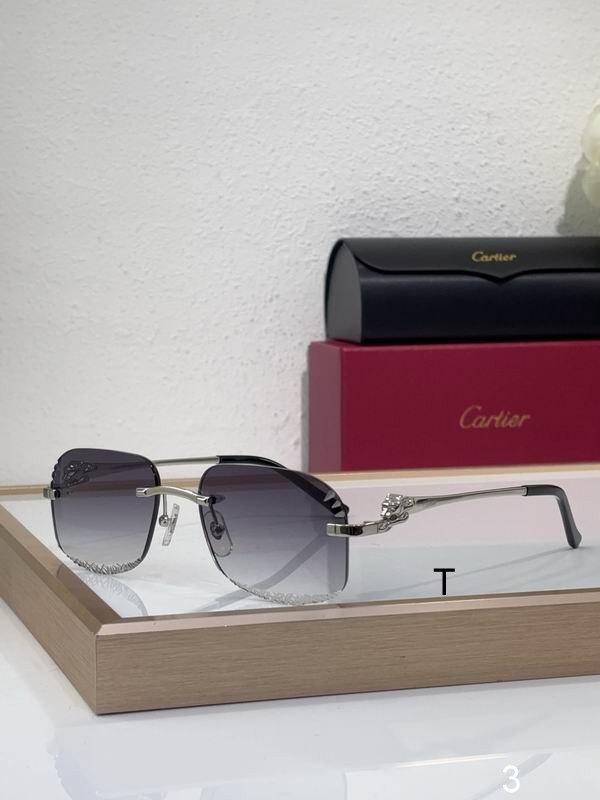 Cartier CT0432S 55 18 145 b03