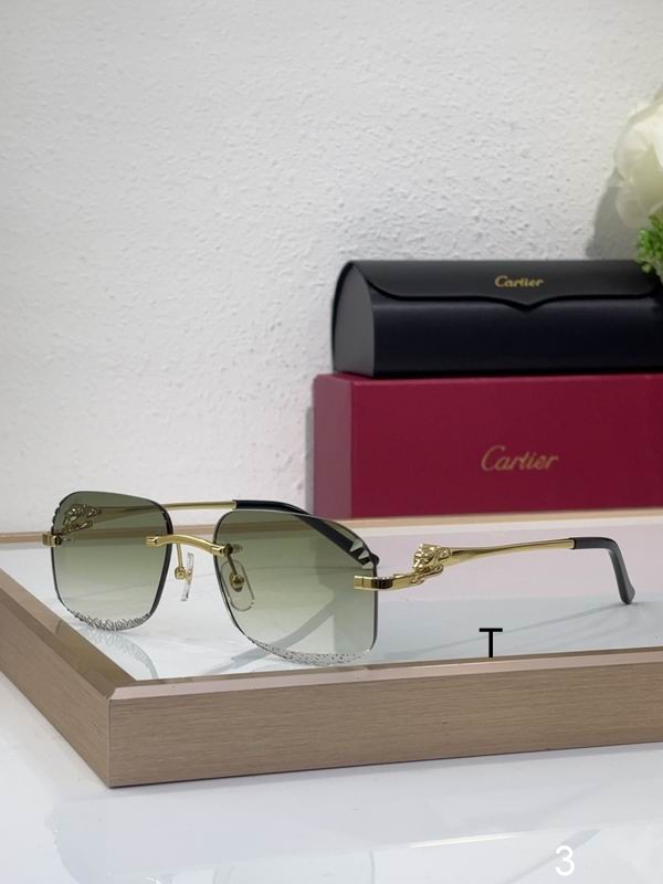 Cartier CT0432S 55 18 145 b04