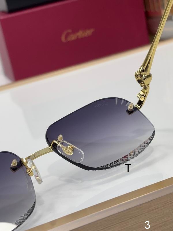 Cartier CT0432S 55 18 145 b07