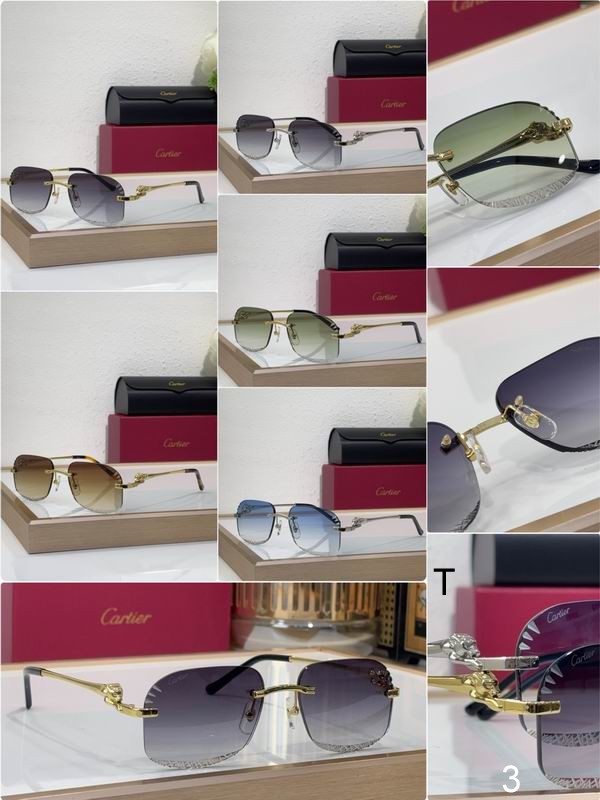 Cartier CT0432S 55 18 145 b08