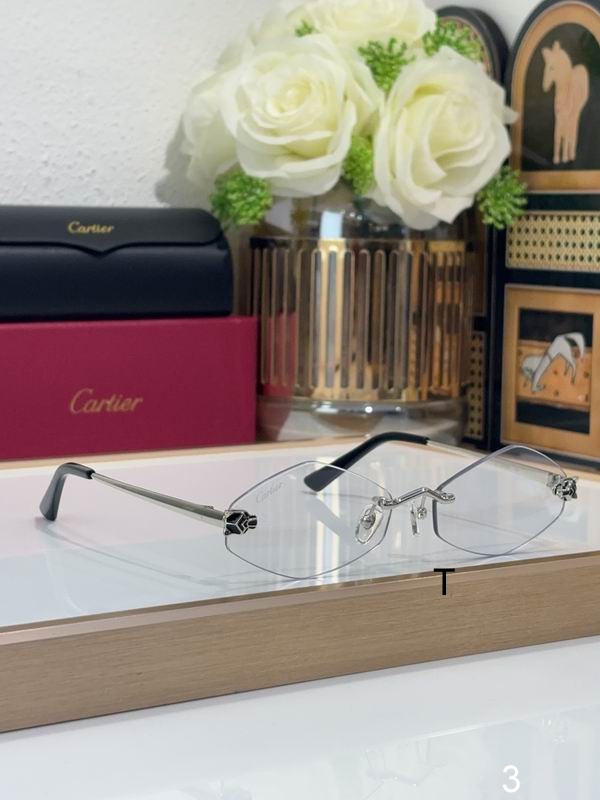 Cartier CT0433S 55 20-140 b01