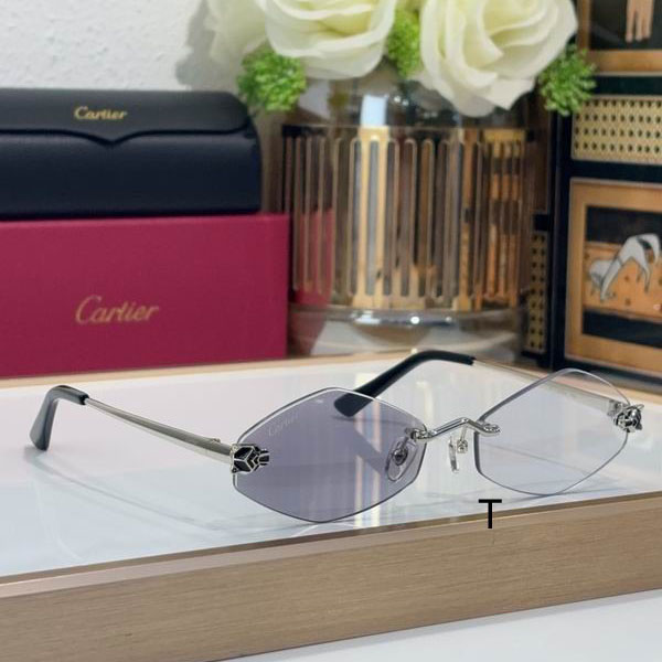 Cartier CT0433S 55 20-140 b02