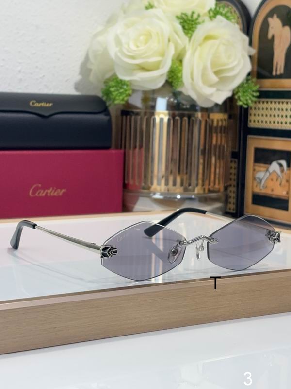 Cartier CT0433S 55 20-140 b03