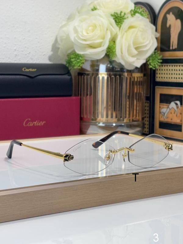 Cartier CT0433S 55 20-140 b04