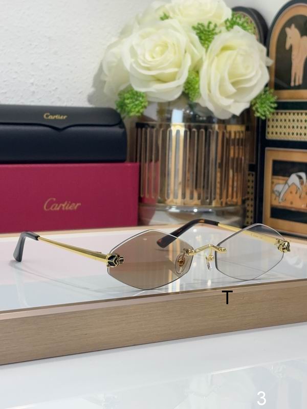 Cartier CT0433S 55 20-140 b05