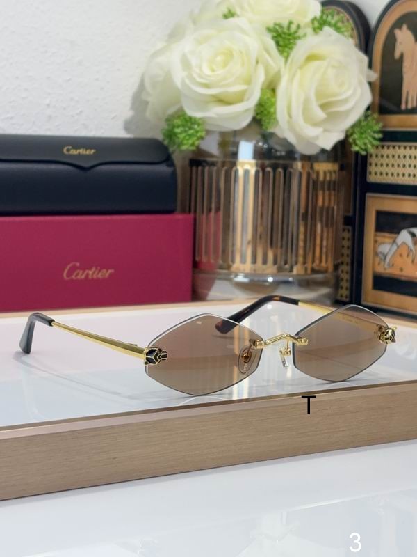Cartier CT0433S 55 20-140 b06