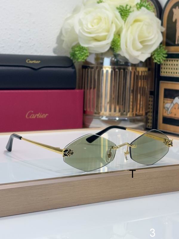 Cartier CT0433S 55 20-140 b09