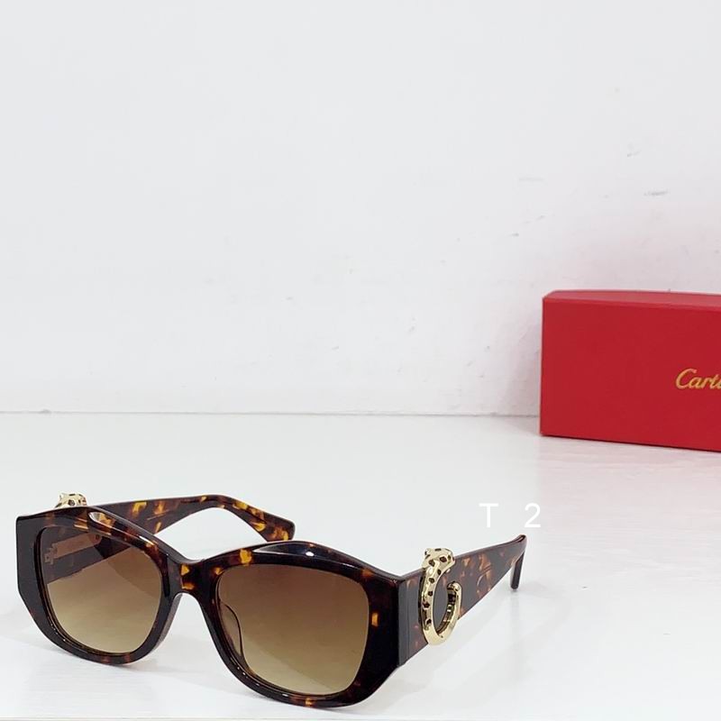 Cartier CT0503S  55-17 b01