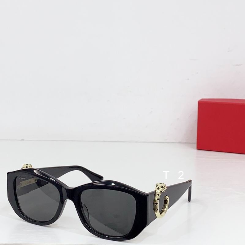 Cartier CT0503S  55-17 b03