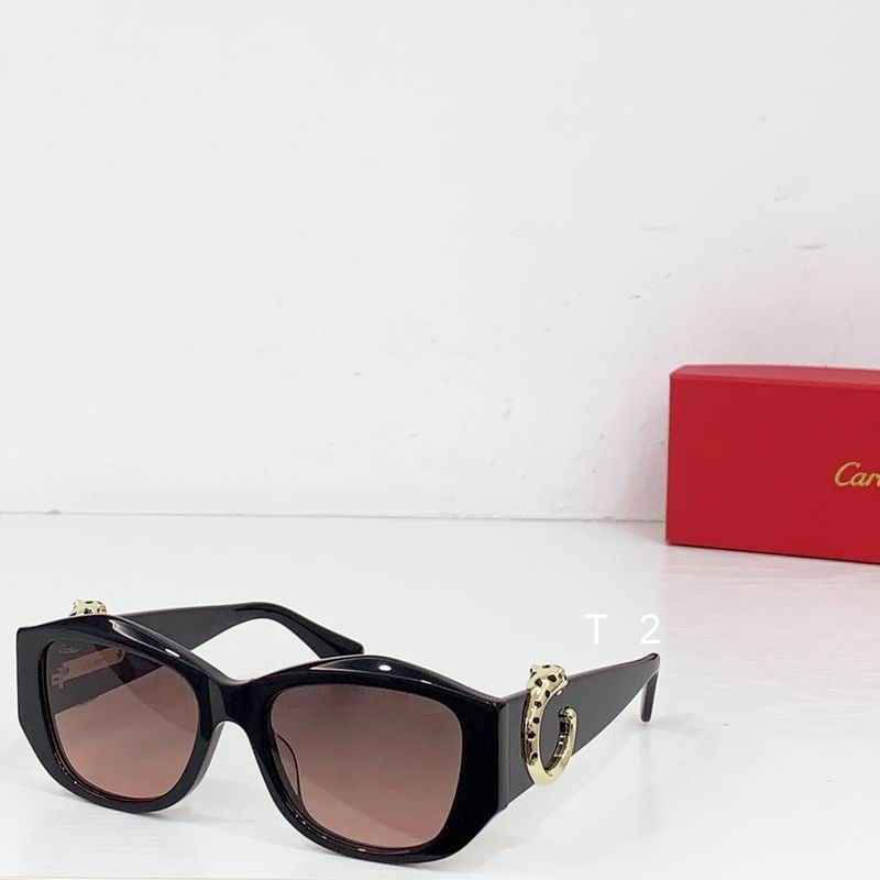 Cartier CT0503S  55-17 b04