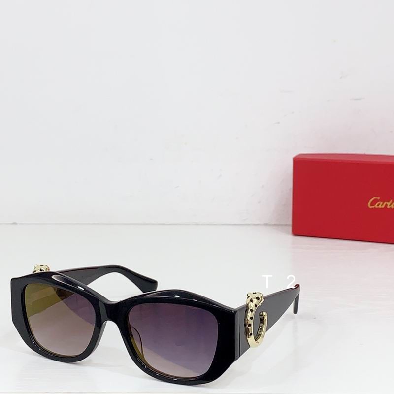 Cartier CT0503S  55-17 b05