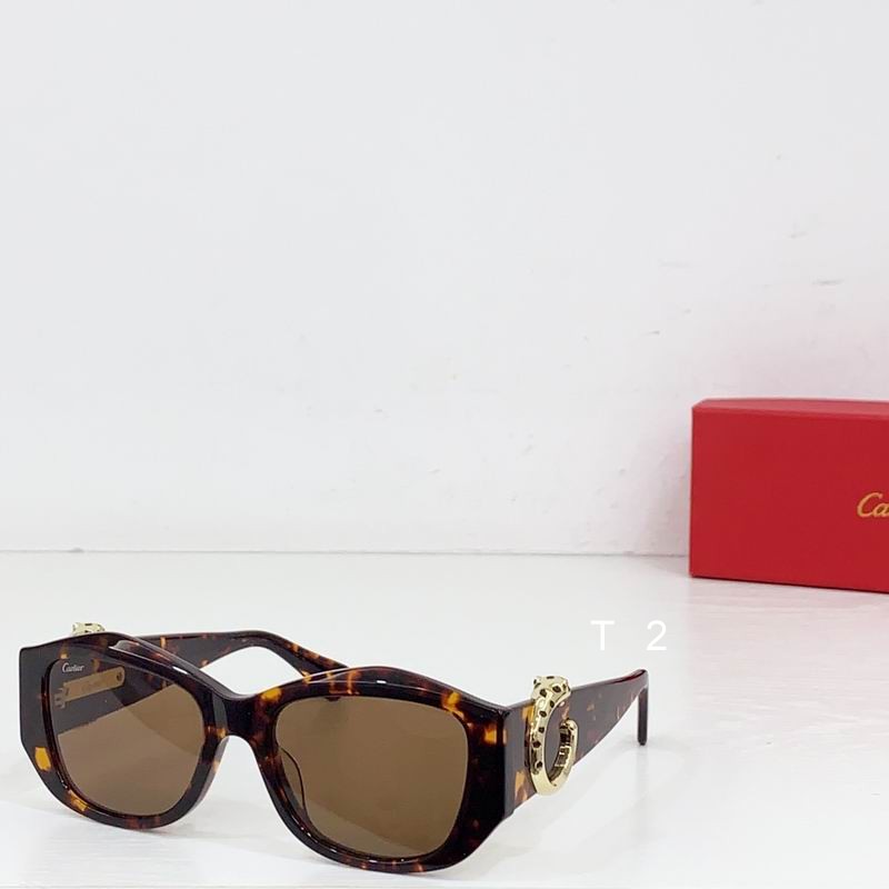 Cartier CT0503S  55-17 b06