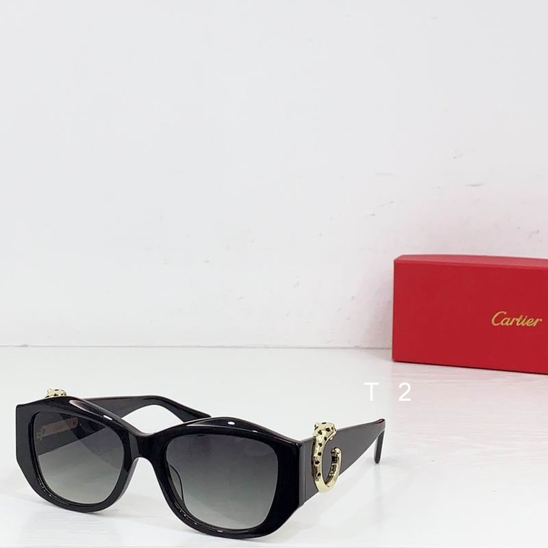 Cartier CT0503S  55-17 b07