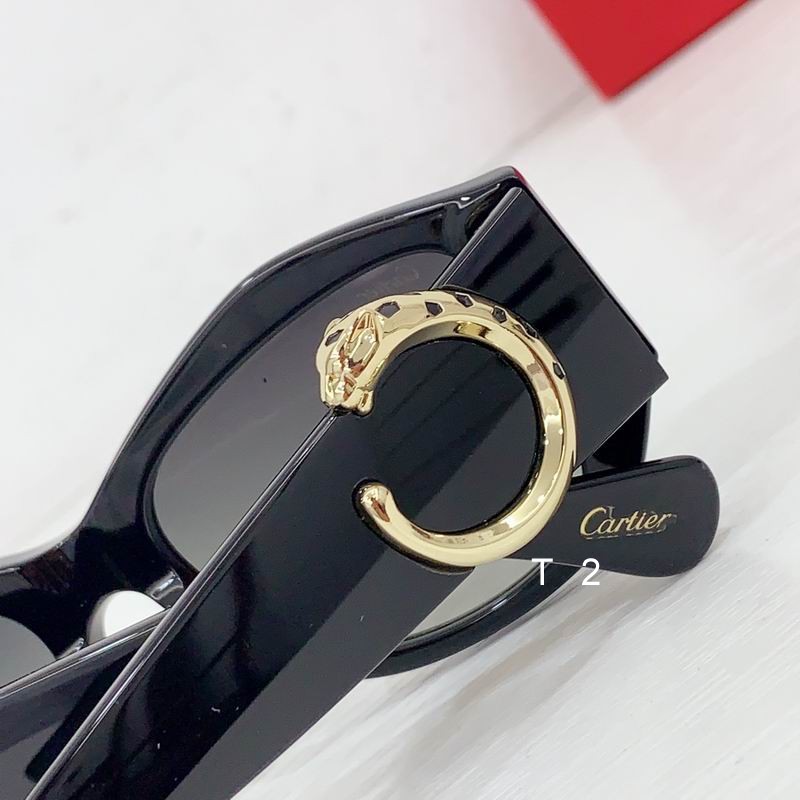 Cartier CT0503S  55-17 b08