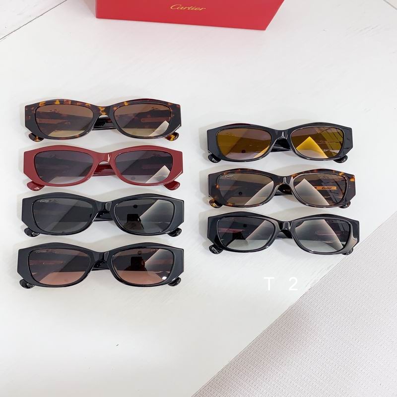 Cartier CT0503S  55-17 b09