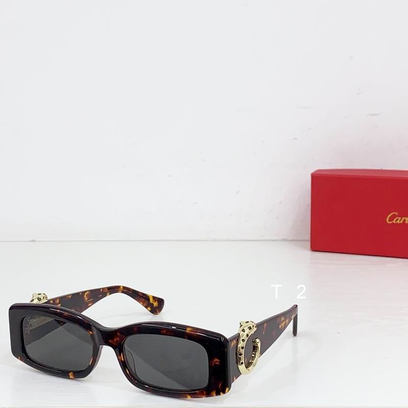 Cartier CT0505S 55-17 b01