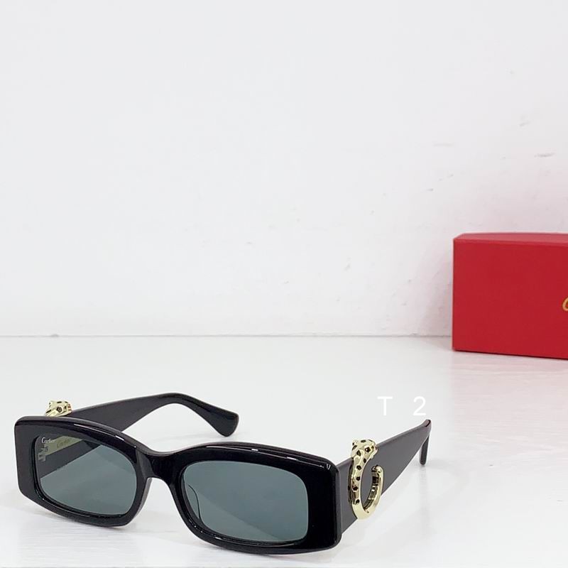 Cartier CT0505S 55-17 b02