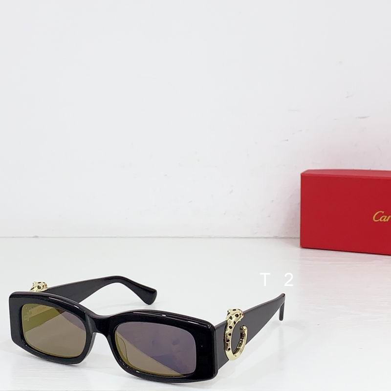 Cartier CT0505S 55-17 b04