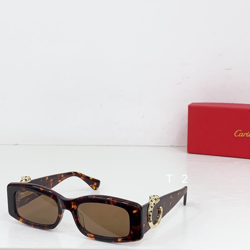 Cartier CT0505S 55-17 b05