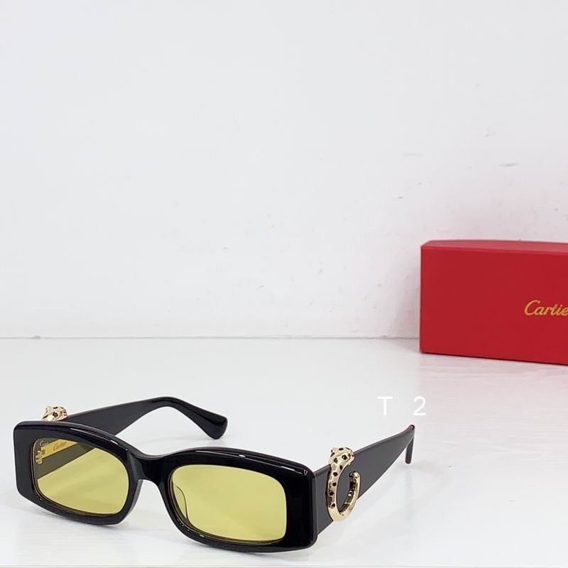 Cartier CT0505S 55-17 b06