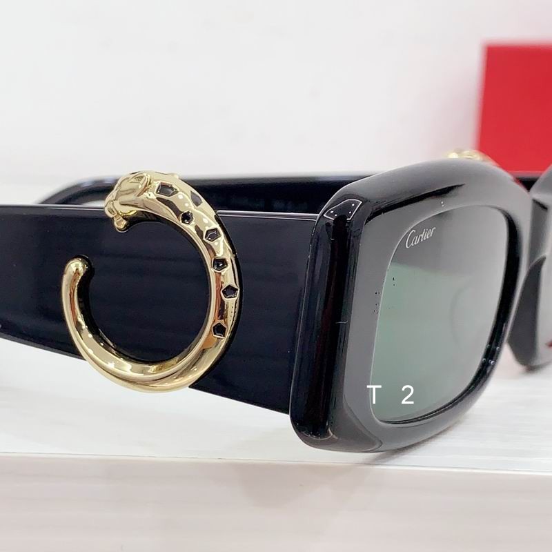 Cartier CT0505S 55-17 b08