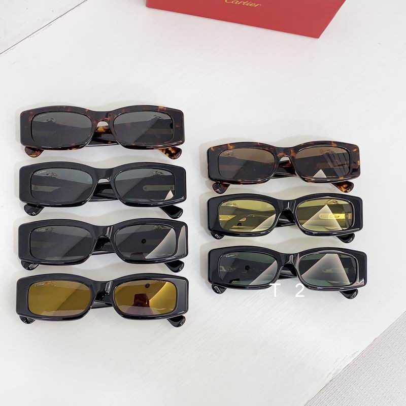 Cartier CT0505S 55-17 b09