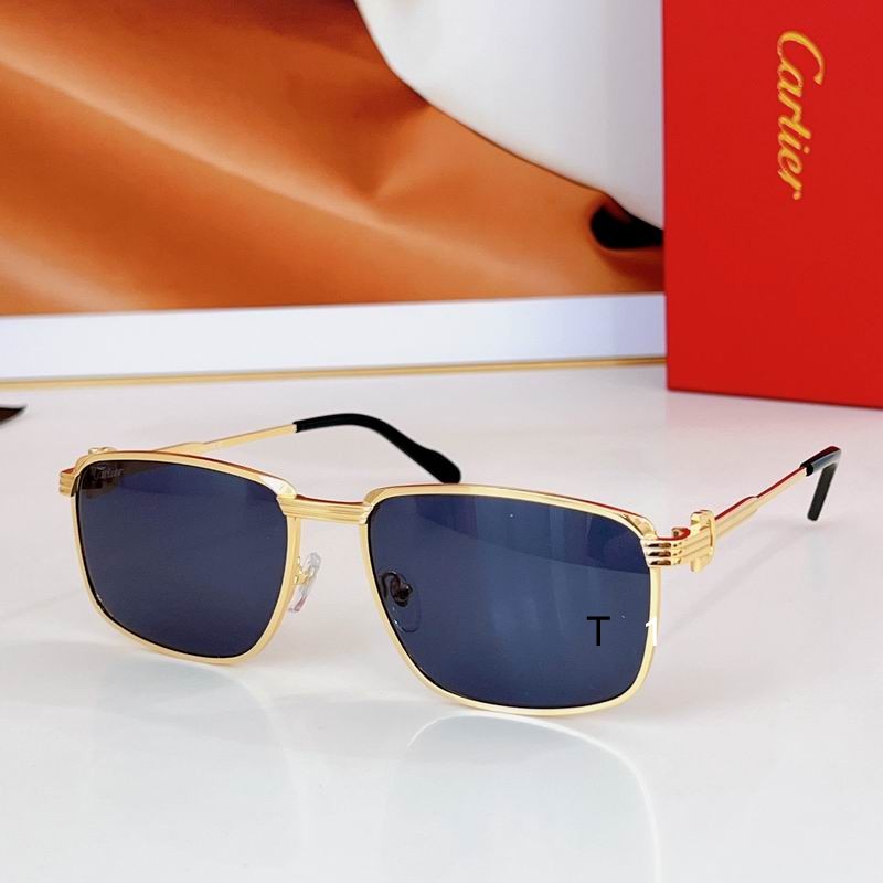 Cartier CT0534S 59 17-145 a10