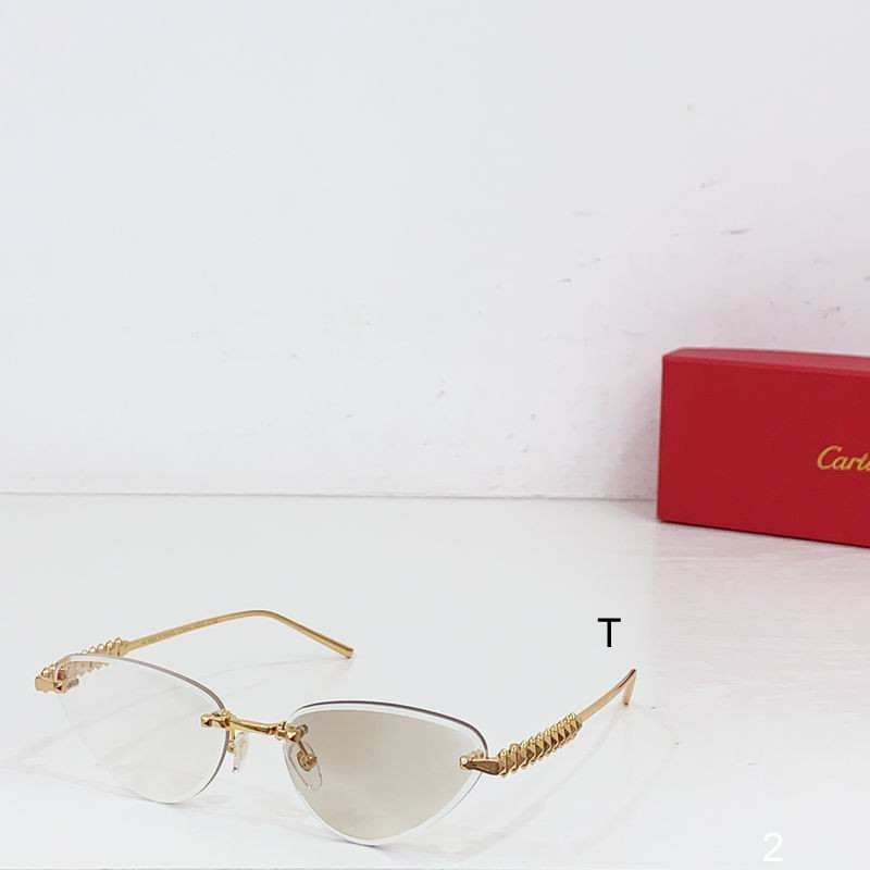 Cartier CT0543S  b02