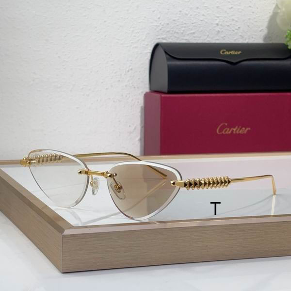 Cartier CT0543S  b02