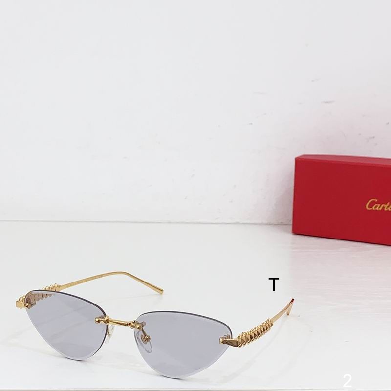 Cartier CT0543S  b03
