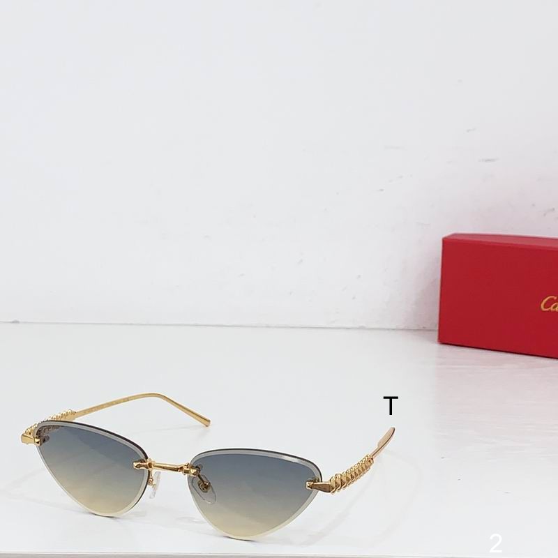 Cartier CT0543S  b04