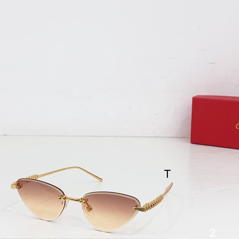 Cartier CT0543S  b05