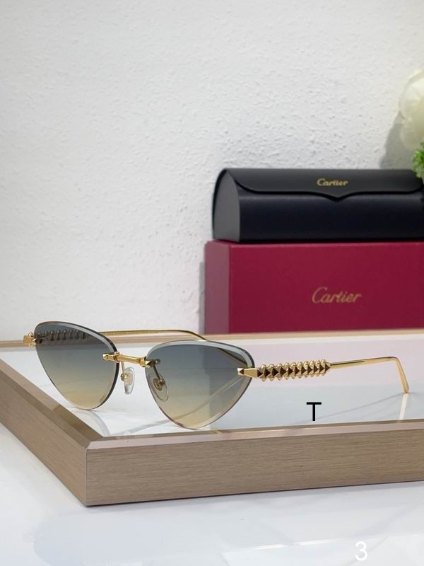 Cartier CT0543S  b05