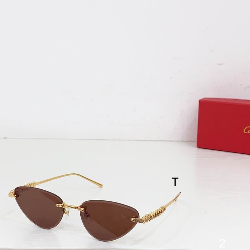 Cartier CT0543S  b06