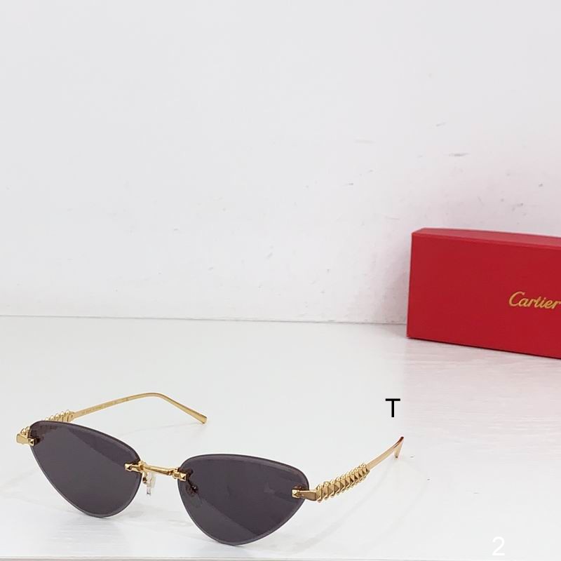 Cartier CT0543S  b07