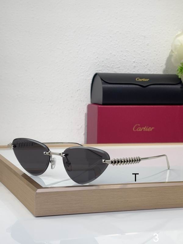 Cartier CT0543S  b07