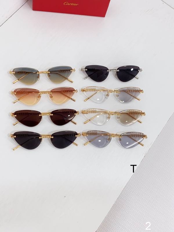 Cartier CT0543S  b09