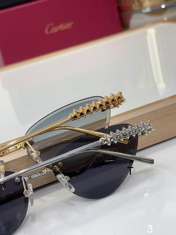 Cartier CT0543S  b09