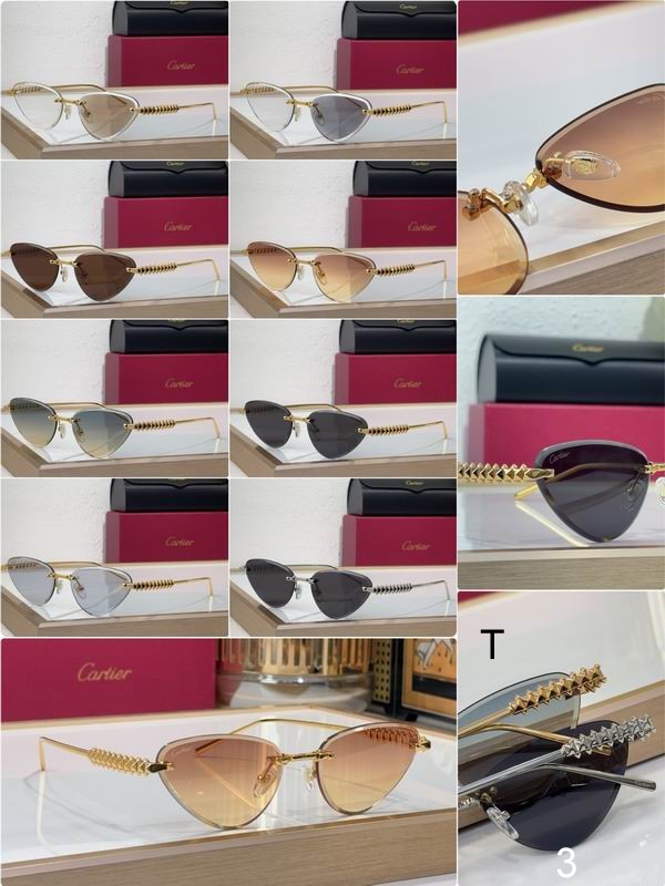 Cartier CT0543S  b10