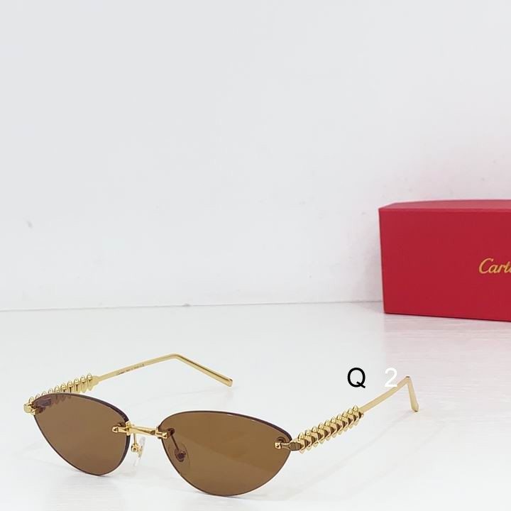 Cartier CT0543S 48 21-145 b01