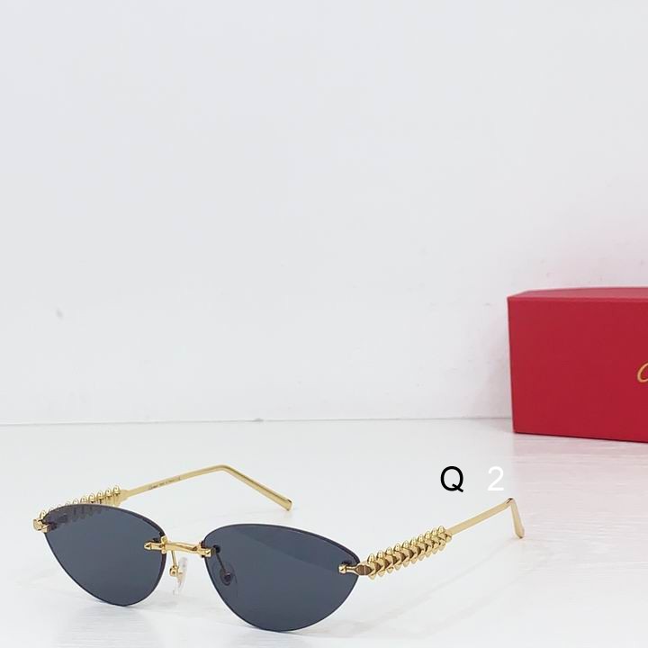 Cartier CT0543S 48 21-145 b04