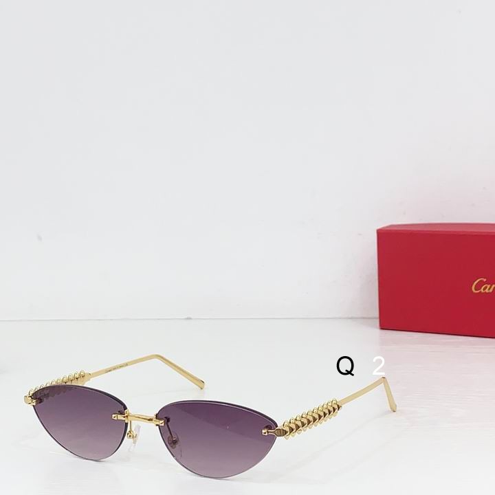 Cartier CT0543S 48 21-145 b05