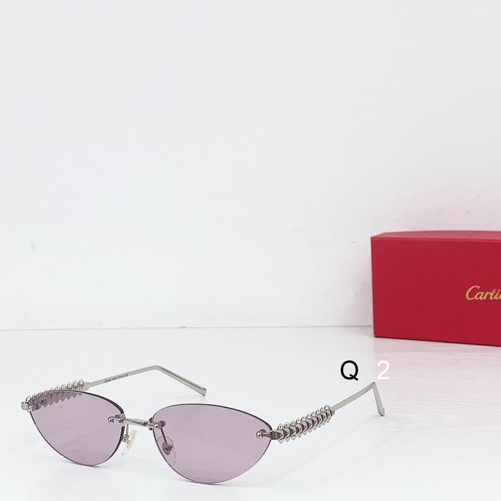 Cartier CT0543S 48 21-145 b06