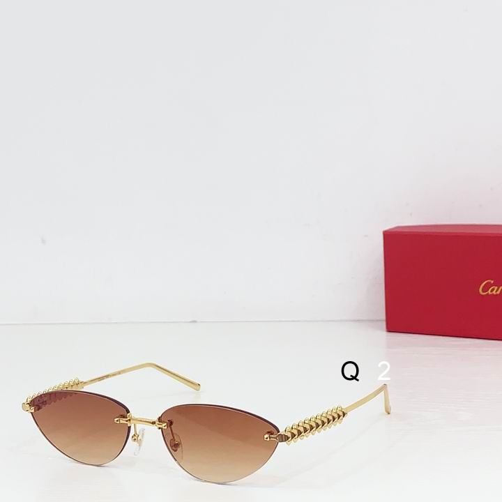 Cartier CT0543S 48 21-145 b07