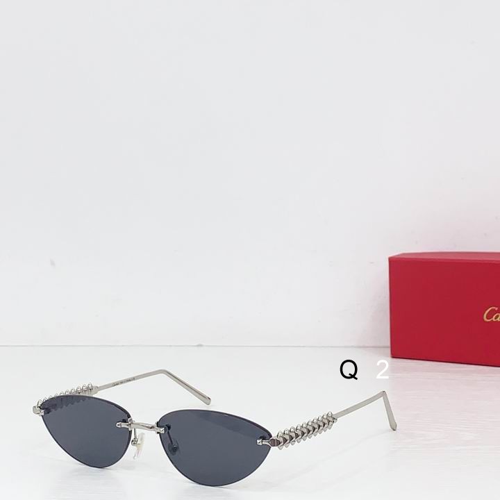 Cartier CT0543S 48 21-145 b08