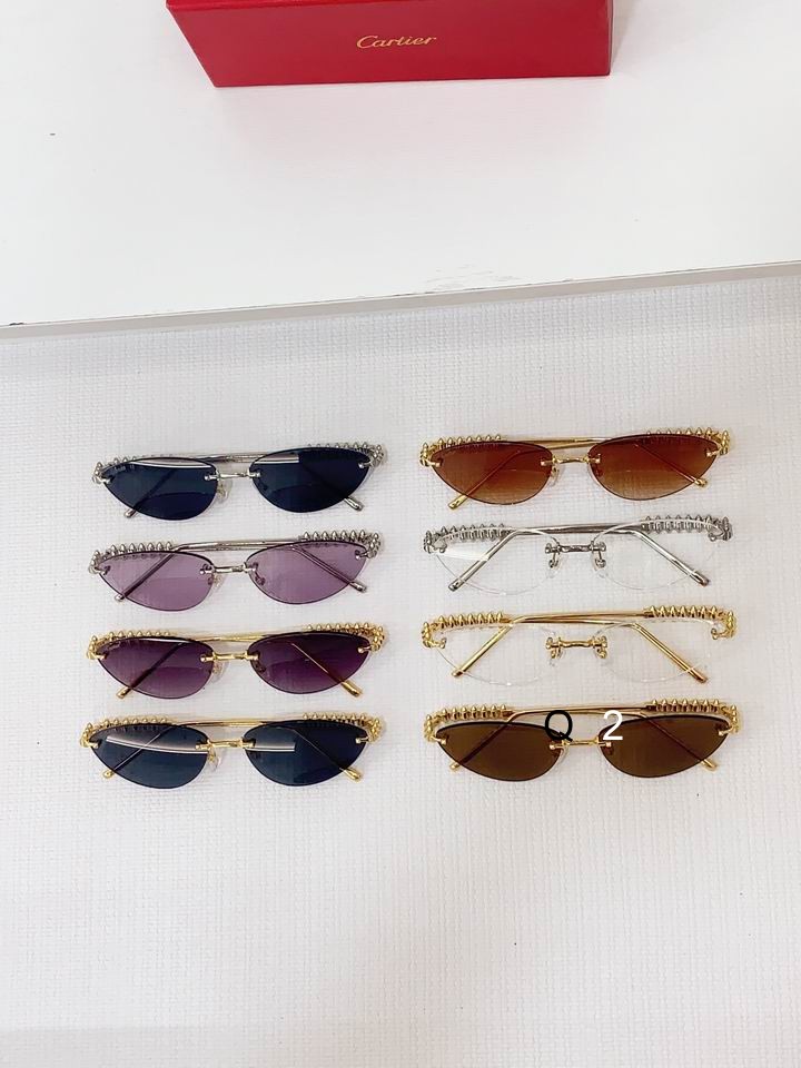 Cartier CT0543S 48 21-145 b09