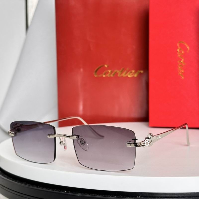 Cartier CT0552S 55 20-135 e02